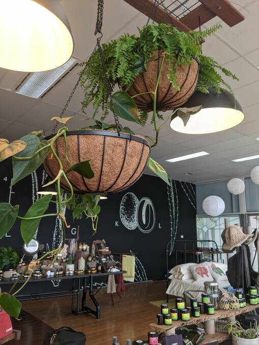Plants - of the non-smoking variety - add to the natural vibe of the store.