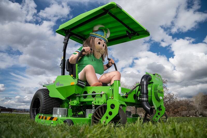This could get dangerous...Victor the Viking tries out the new electric ride-on mower. Picture supplied