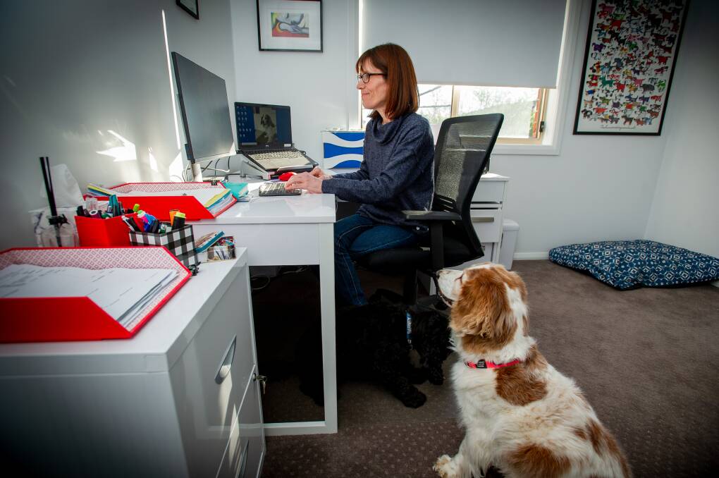 Dunlop's Kathryn Sequoia working from home with her faithful dog Gemma. Picture: Elesa Kurtz