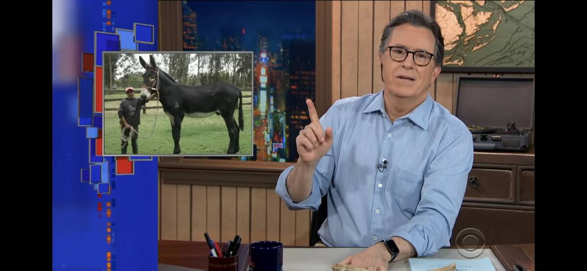 Stephen Colbert with the big ass.