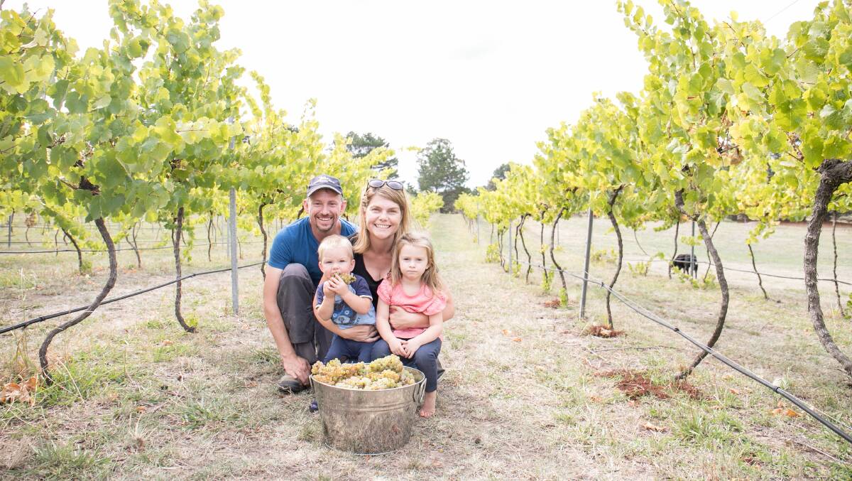 The family in the vines in 2018. Picture by Karleen Minney