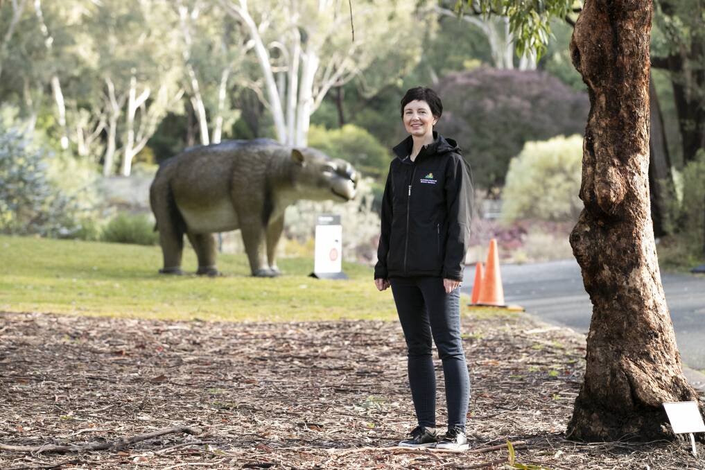 Australian National Botanic Gardens event manager Megan Donaldson with a Diprotodon, which might have been the inspiration for the mythical bunyip. Picture: Keegan Carroll