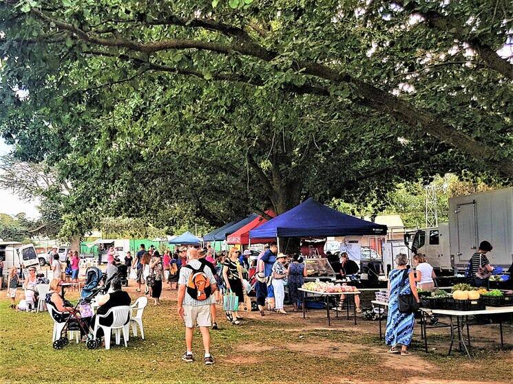 The markets are under the oak trees at the Murrumbateman Recreation Grounds. Picture: supplied
