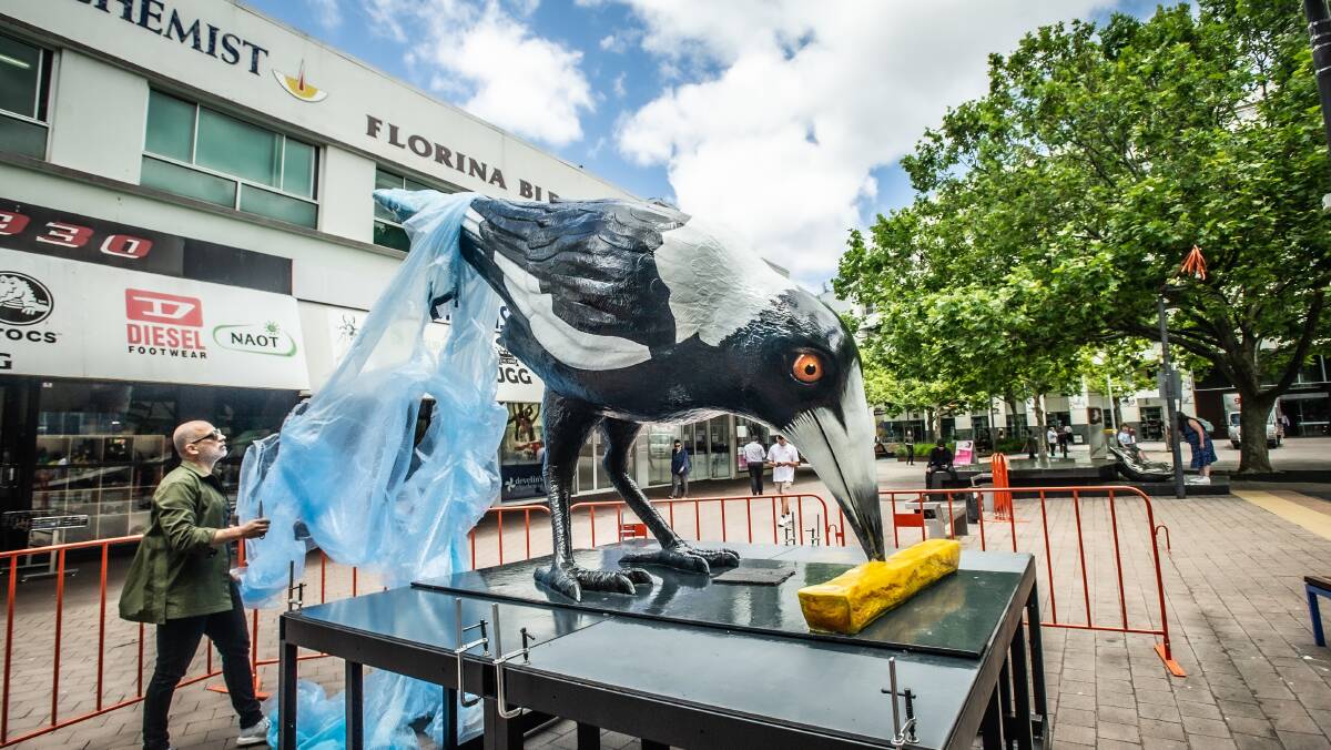 Big Swoop was unveiled in a new spot in Garema Place last December after initially being vandalised when first unveiled in March last year. Picture by Karleen Minney