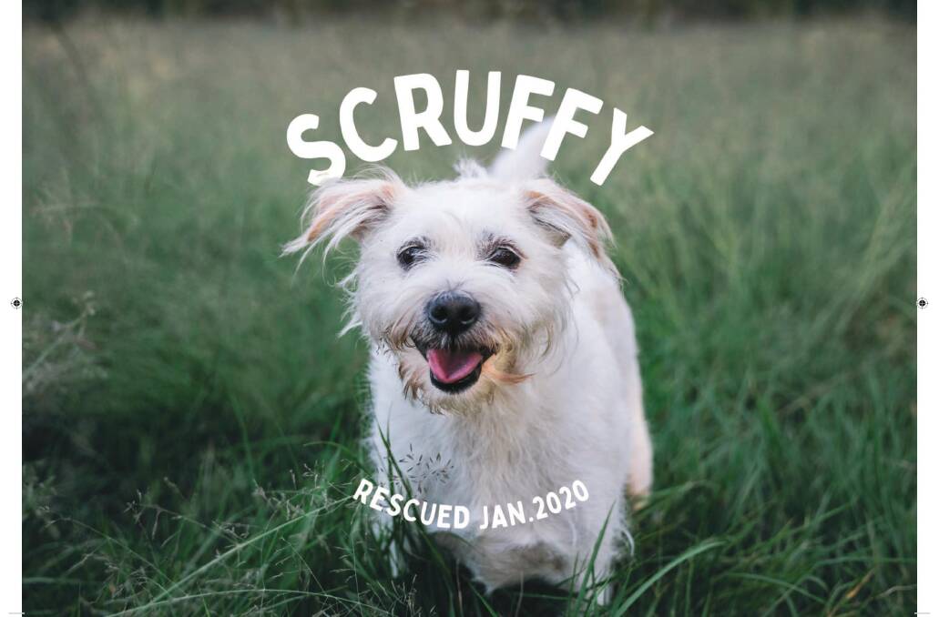 Scruffy features for April.