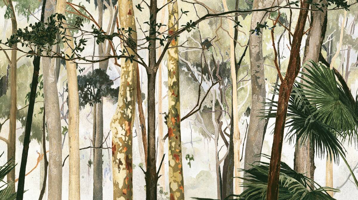 Cressida Campbell, Eucalypt forest, 2000, Private collection, image courtesy Warren Macris Cressida Campbell