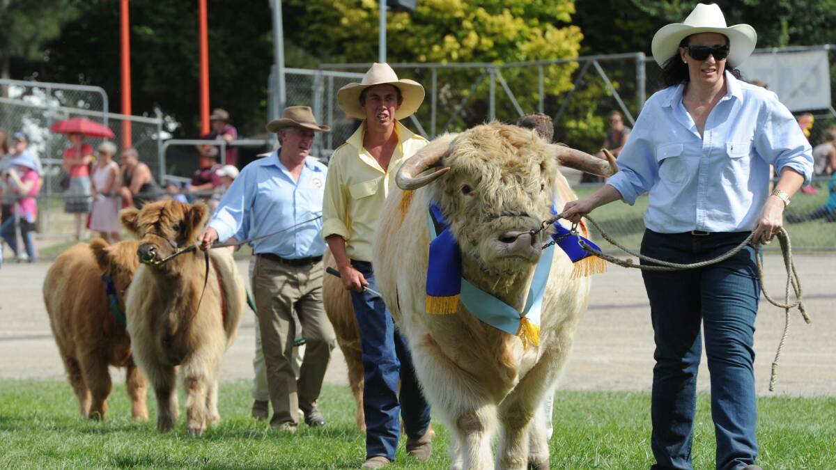 A procession from the 2012 Royal Canberra Show. Picture: Graham Tidy