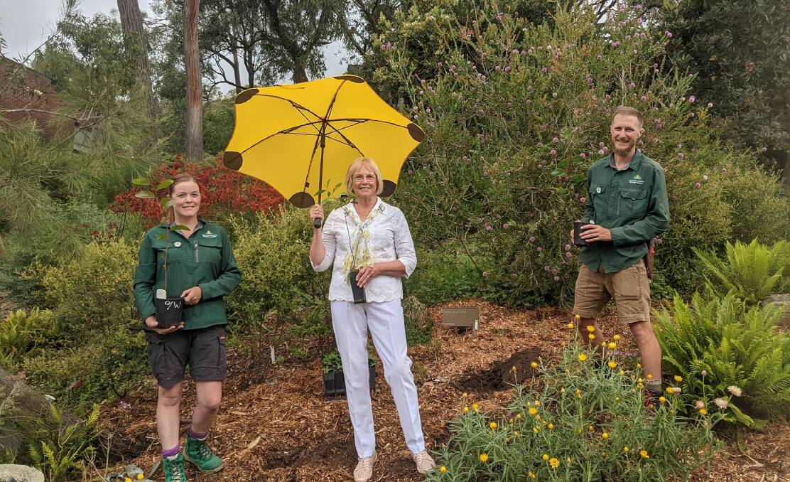 Australian National Botanic Gardens horticulturists Janine Baines and Peter Feilen with Wattle Day Association treasurer Judy Tunningley. Picture: Megan Doherty