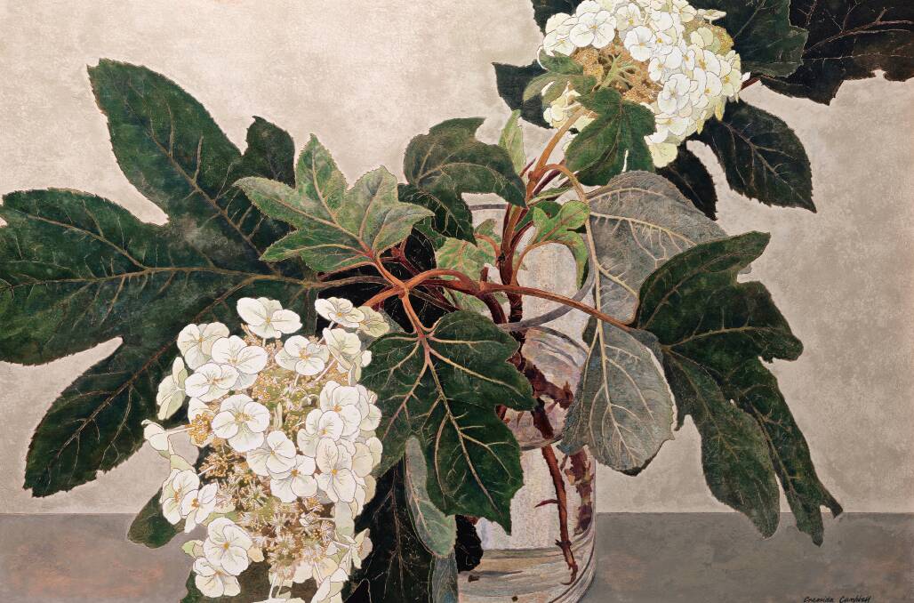 Cressida Campbell, Japanese Hydrangeas, 2005.