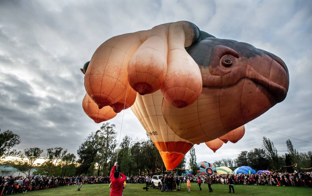 Skywhale by Patricia Piccinini in Canberra in 2020. Picture: Karleen Minney