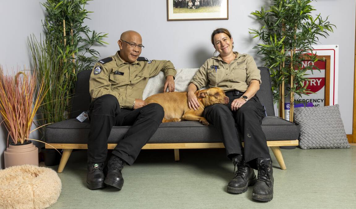 Rohan Samara is the new manager of the Domestic Animal Services field operations while Jackie Gardner is the new acting operations manager. They are with staffy-cross Armani who is available for adoption. Picture by Keegan Carroll