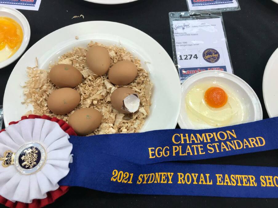 Hilltops Free Range eggs were champions at the Royal Easter Show in Sydney. Picture: Supplied
