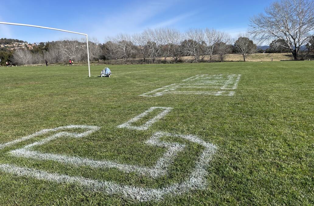 Albie can also draw words on a surface. Here he gives a shout-out to The Canberra Times behind a local ground. The paint washes off within two weeks, faster if there is rain. Picture: Megan Doherty