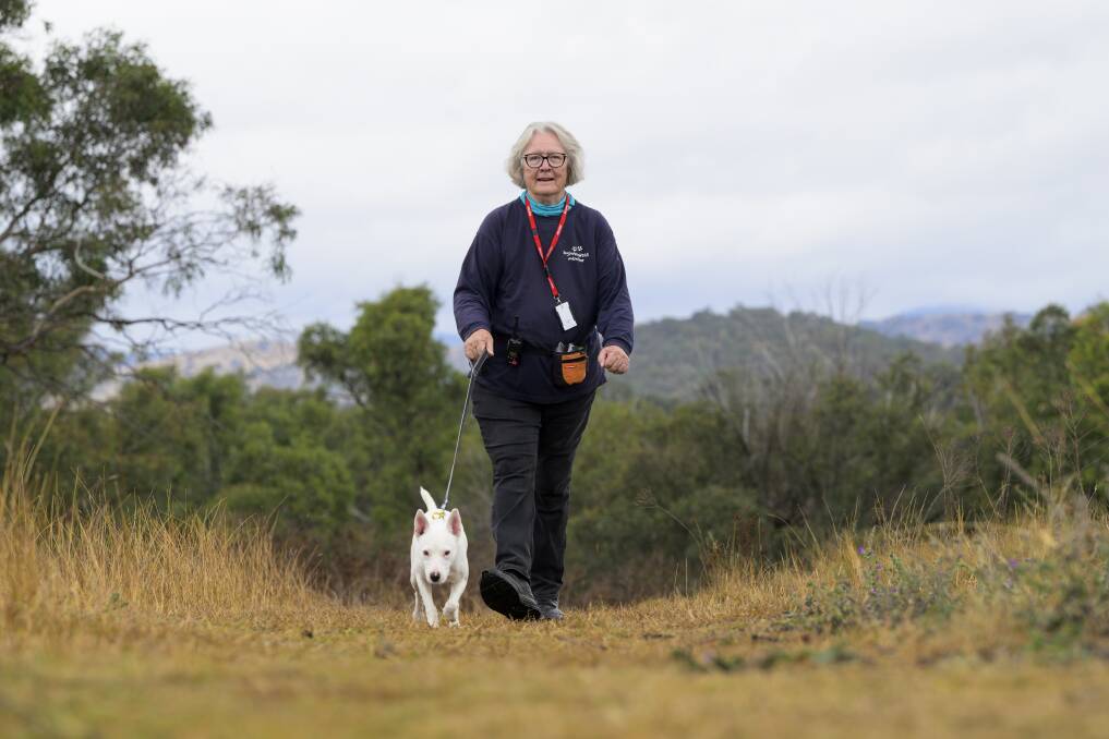 Di Johnstone on the walking trail at the Domestic Animal Services facility off Mugga Lane. Picture by Keegan Carroll