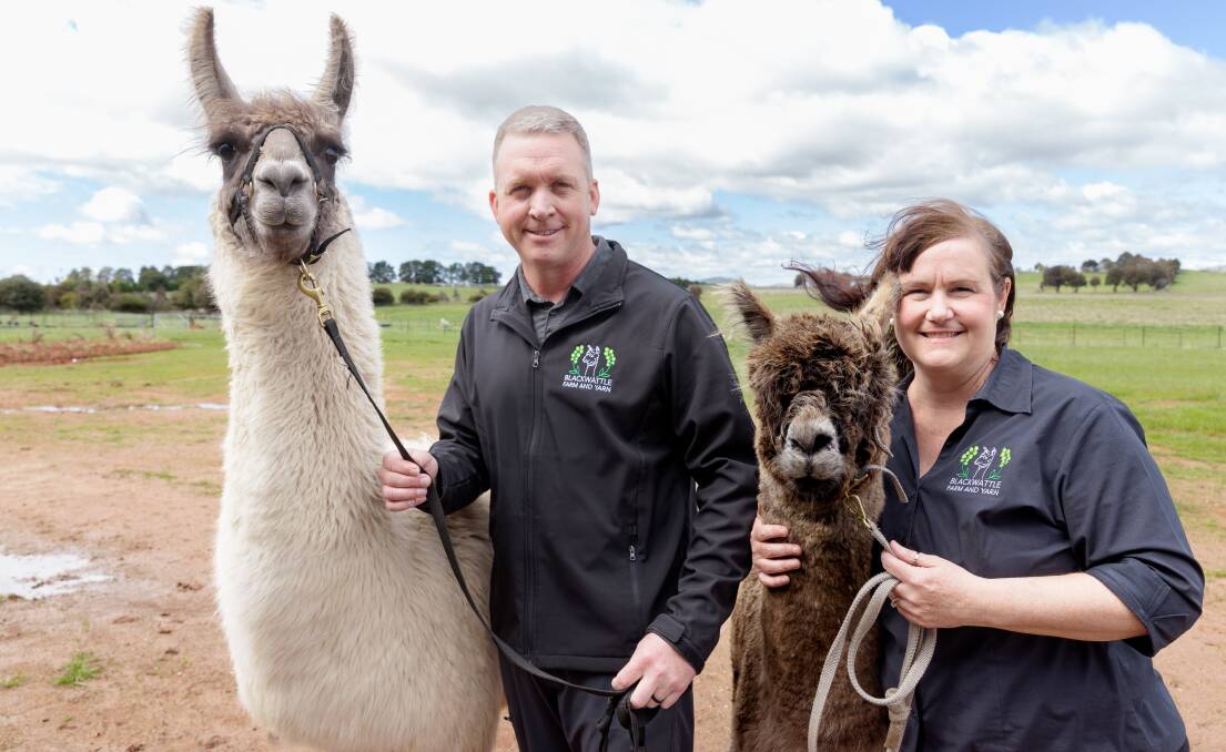 Blackwattle Alpaca Farm owners Matthew and Angela Smith at the launch of their new alpaca experience centre in Murrumbateman on Friday. Picture by Sitthixay Ditthavong