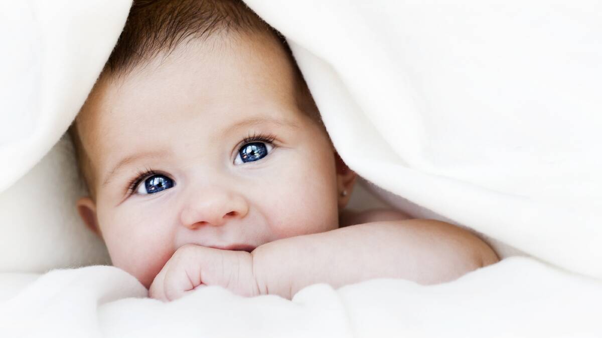 Time to enter the Perinatal Portraits competition. Picture by Shutterstock