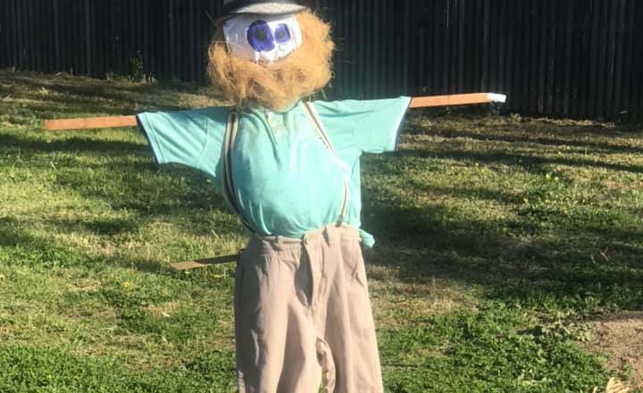 The scarecrow competition is usually held as part of the Weston Creek Community Council's Chapman pop-up Floriade site but lockdown called for a creative alternative. Picture: Supplied