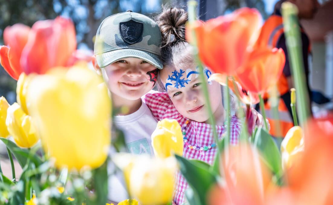 Cousins Knox Williams and Lucy Duncan, both 5, enjoy the tulips and sunshine. Picture by Karleen Minney