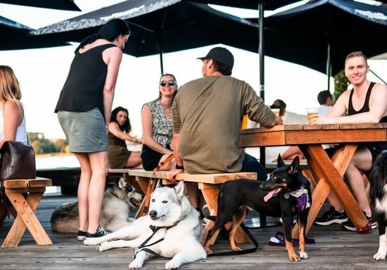 Dogs are welcome at The Jetty. Picture: Facebook