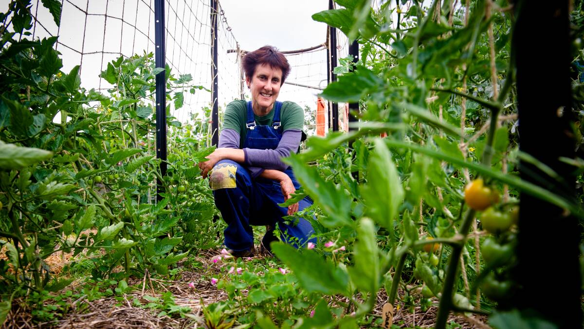 Ainslie Urban Farm owner Fiona Buining wants to increase locally produced and environmentally conscious food in Canberra. Picture: Elesa Kurtz