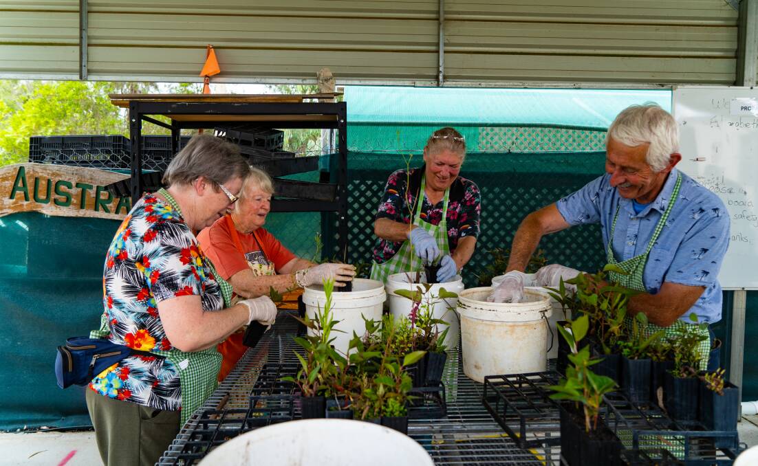 Participants in the Healthy Minds, Healthy Landscapes program at the Greening Australia nursery in Aranda. Picture: Supplied