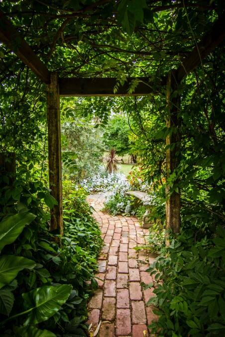 A garden is a refuge from all that is black or busy in the world. Picture: Unsplash