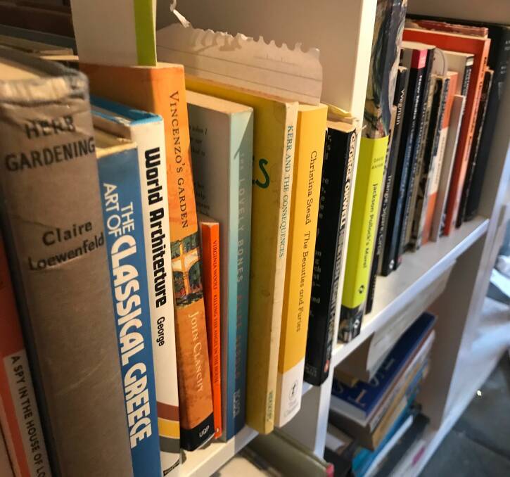Some of the books on Jasper Lindell's shelves, some of which have even been read.