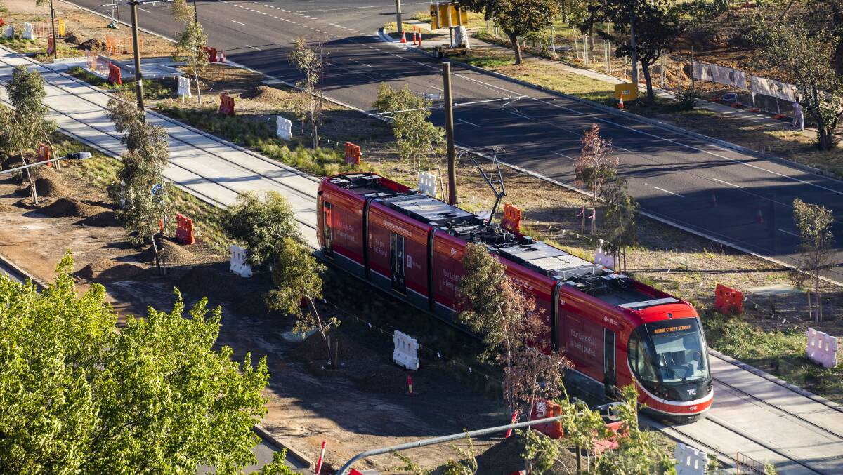 Canberra's successful light rail project on its tracks on Northbourne Avenue. Picture: Jamila Toderas
