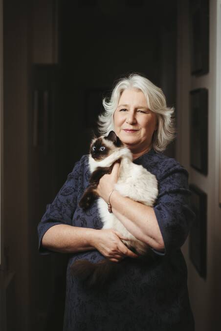 Cass Coleman, who breeds Ragdoll cats, says the ACT's 10-year cat plan is a 'brave' move. Picture: Dion Georgopoulos