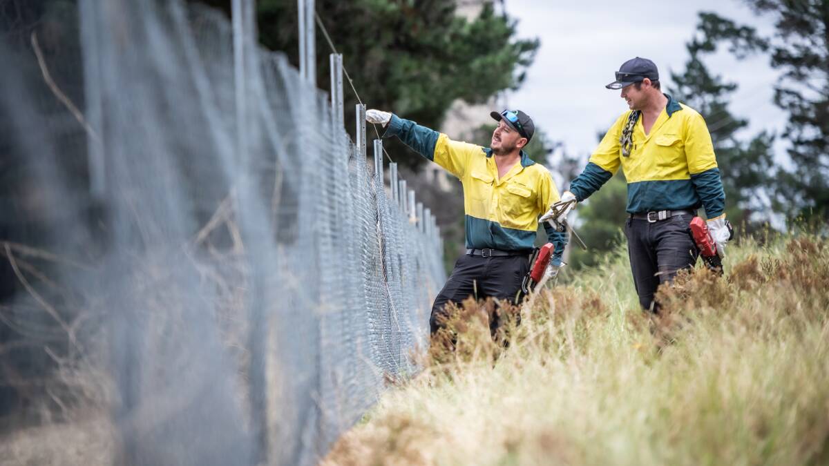 ACT biosecurity officers check a rabbit-proof fence in Duntroon in February 2022. Picture by Karleen Minney