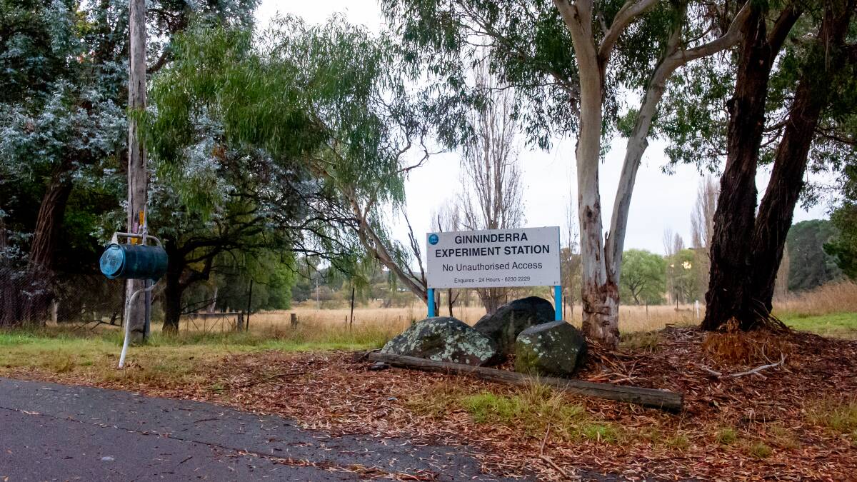 The CSIRO has indicated it wants to inform the development of its land at Ginninderra. Picture: Elesa Kurtz