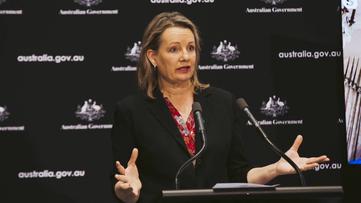 Federal Environment Minister Sussan Ley, who will make the final decision on whether Canberra is granted national heritage status. Picture: Jamila Toderas