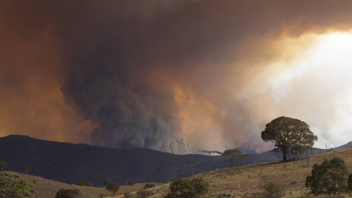 The Orroral Valley bushfire was sparked by a Defence helicopters landing light. Picture: Jamila Toderas