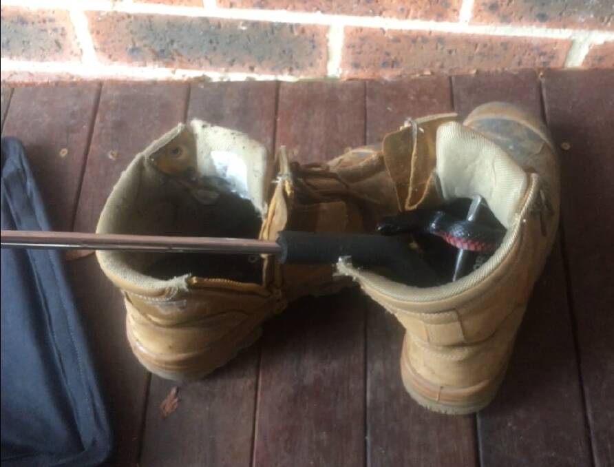 This red-bellied black snake found a sneaky hiding spot in Aria Shelton's boot. Picture: Gavin Smith