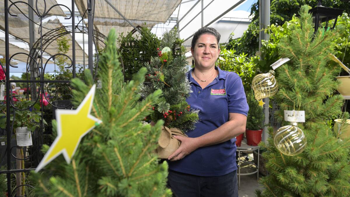 Rodney Plants Plus Staff member Grace Volani shows customers two options for christmas trees, real potted Christmas Tree and a Plastic Christmas Tree. Picture by Keegan Carroll