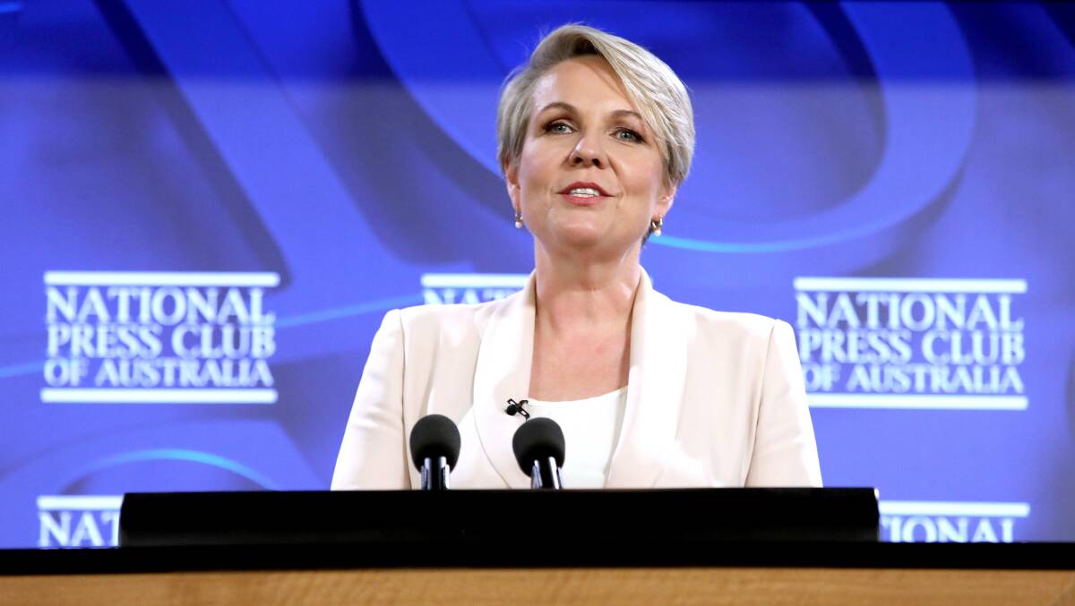 Environment Minister Tanya Plibersek. Picture by James Croucher