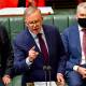 Prime Minister Anthony Albanese in question time last week. Picture: Elesa Kurtz