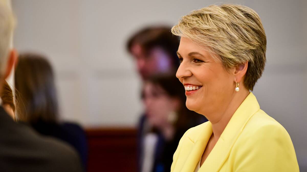 Environment and Water Minister Tanya Plibersek was sworn in at Government House this week. Picture: Elesa Kurtz