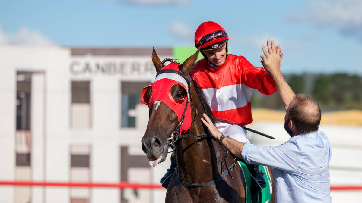 Sacramento returns to scale with jockey Tim Clark after winning the Canberra Cup on Monday. Picture: Sitthixay Ditthavong