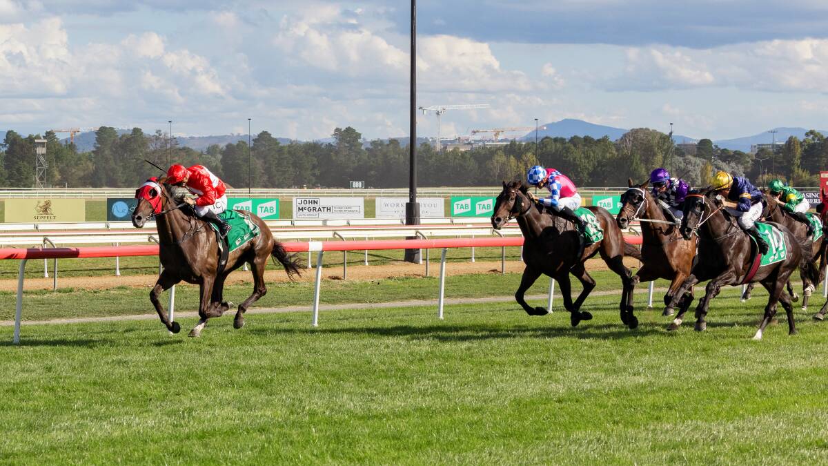 The Gai Waterhouse-trained Sacramento led from start to finish to claim the Canberra Cup on Monday. Picture: Sitthixay Ditthavong