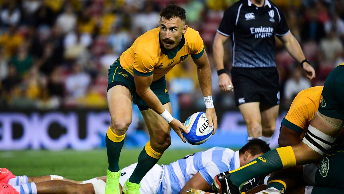 Australia battled to a draw against Argentina on Saturday night. Picture: Stuart Walmsley/Rugby Australia