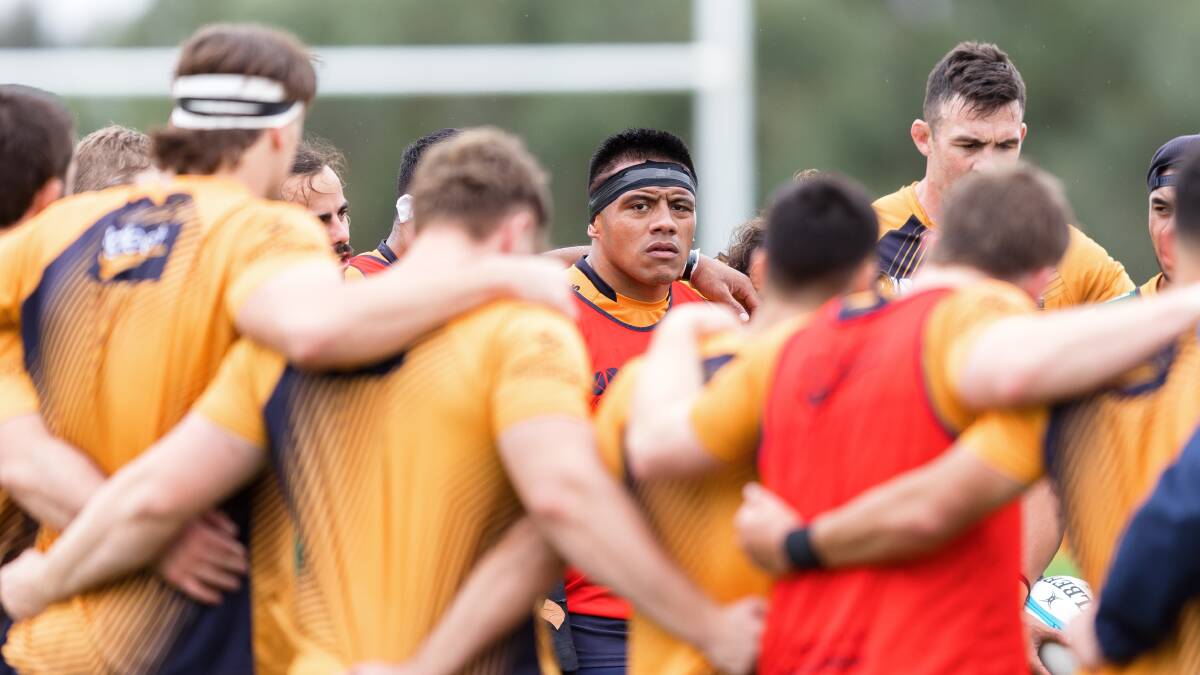 Allan Alaalatoa will return off the bench for the Brumbies. Picture: Sitthixay Ditthavong
