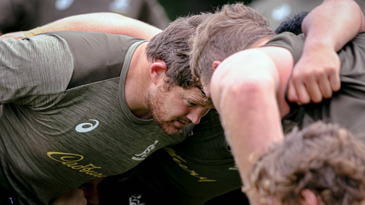 History beckons for Greg Holmes in a Test jersey. Picture: Andrew Phan/Wallabies Media