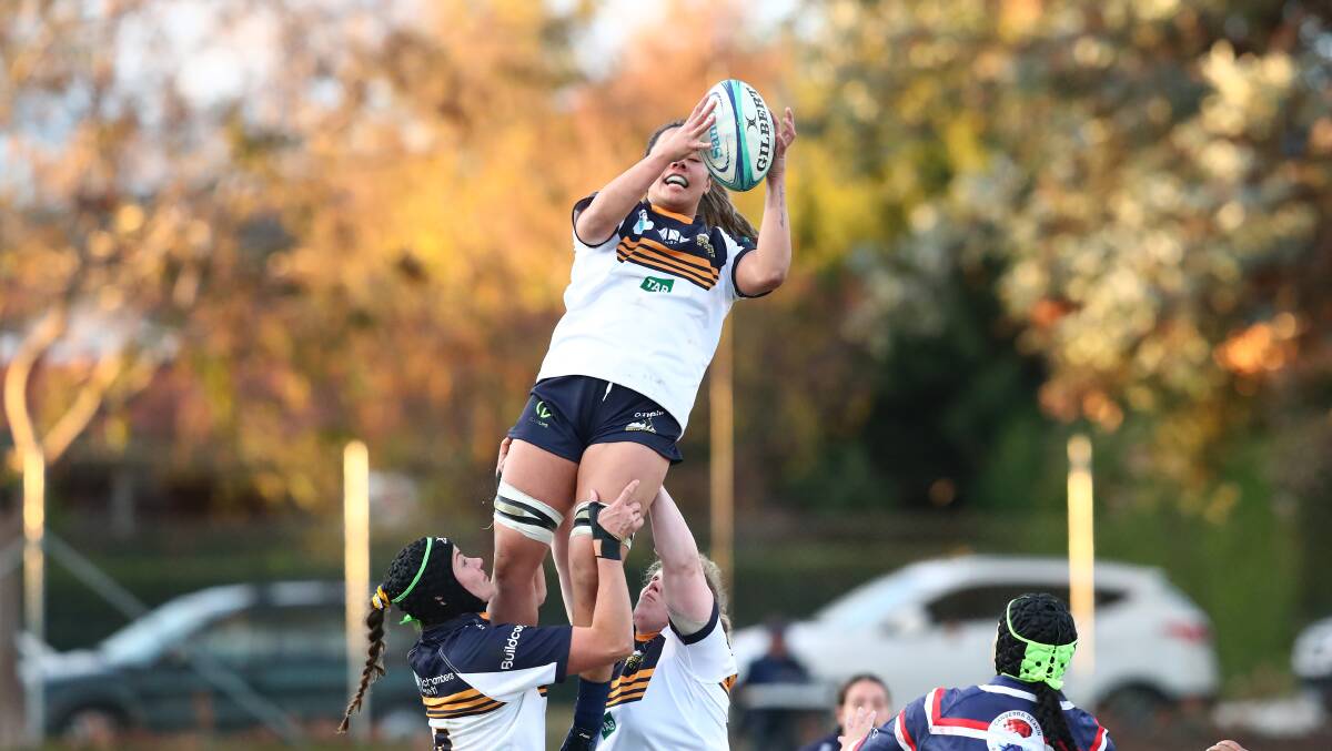 The Brumbies are looking to soar above the competition. Picture: Keegan Carroll
