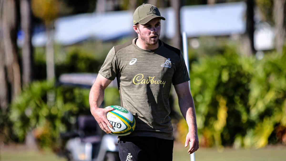 Emerging scrumhalf Ryan Lonergan is in line for a Test debut. Picture: Andrew Phan/Wallabies media