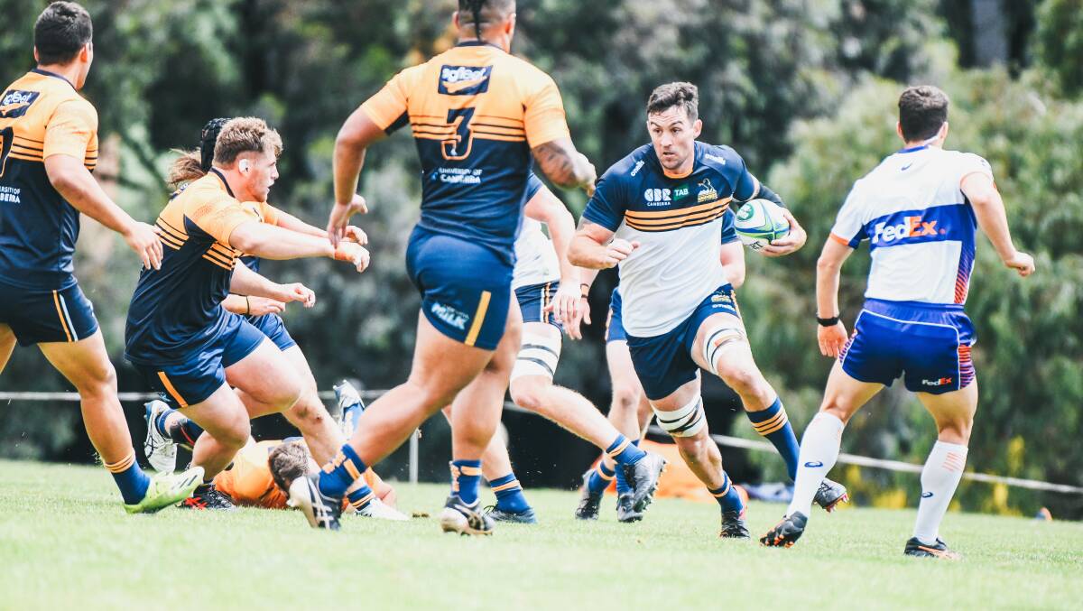 Cadeyrn Neville has his sights set on a Test jersey after making a long-awaited return from injury. Picture: Lachlan Lawson/Brumbies Media