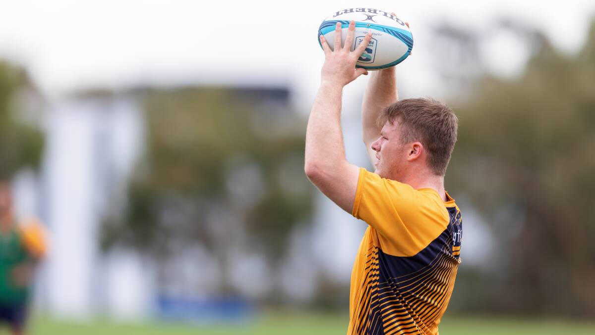 Billy Pollard has been called into the Brumbies' squad to face the Drua. Picture: Sitthixay Ditthavong