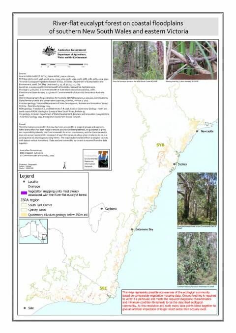 The area of river-flat eucalypt forest on coastal floodplains that has been listed as critically endangered under the EPBC Act. Picture: Environment Department 