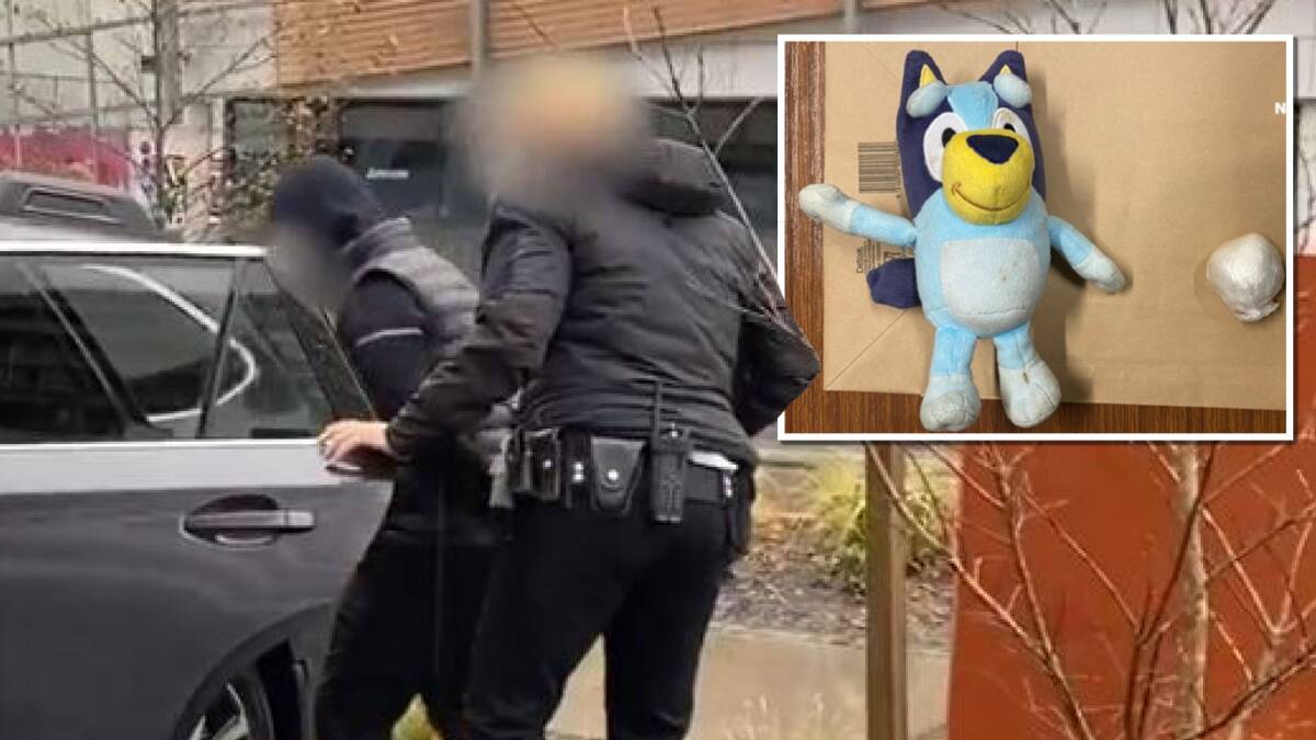 Police arrest Tyler McKenna in Braddon on Wednesday and, inset, the "Bluey" toy allegedly used to hide cocaine. Pictures supplied