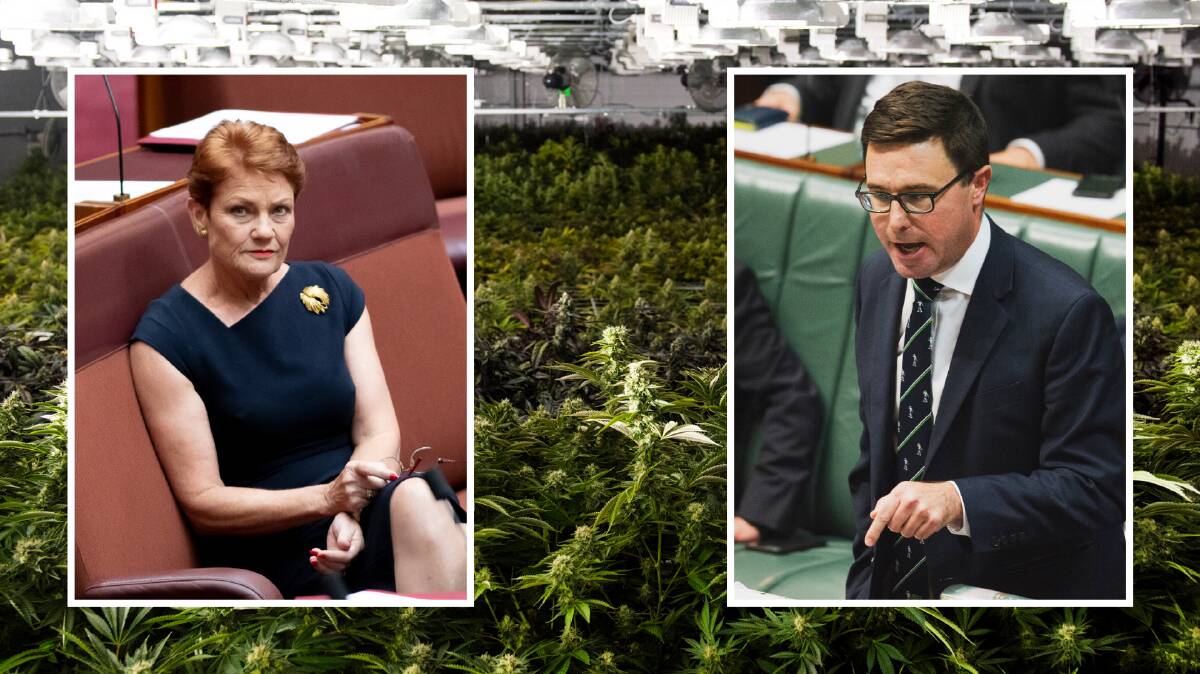 POLITICAL MOVES: David Littleproud rushed the bill to support the industry, a move that will coincidentally sure up Pauline Hanson's vote in the Senate.